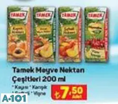 TAMEK MEYVE NEKTARİ ÇEŞİTLERİ 200 ML